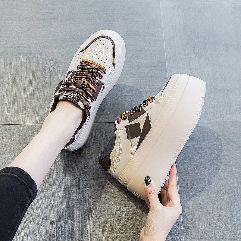 Beige Brown / 33